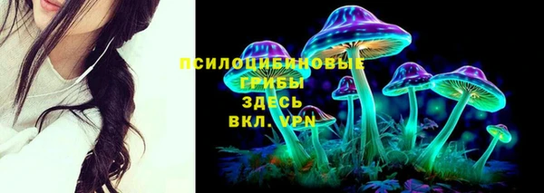 шишки Алексин