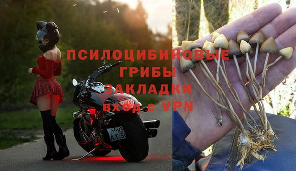 шишки Алексин